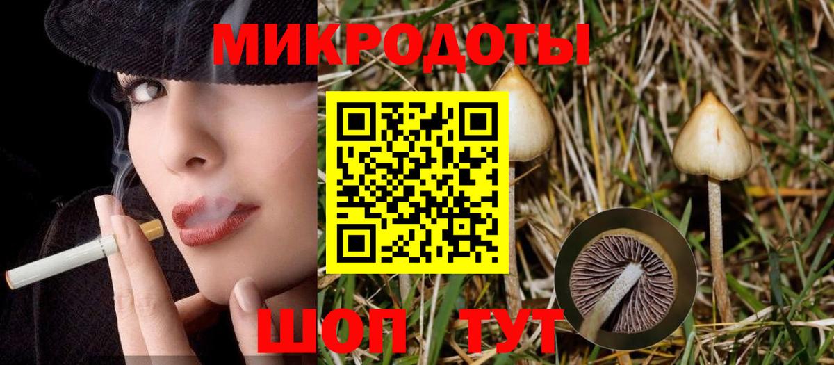 закладки  Галлюциногенные грибы мухоморы  Вход с VPN  Кировск 